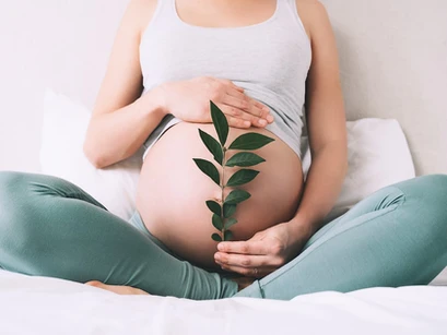 Pregnant woman holding a leafy branch over her belly, symbolizing health and vitality during pregnancy.
